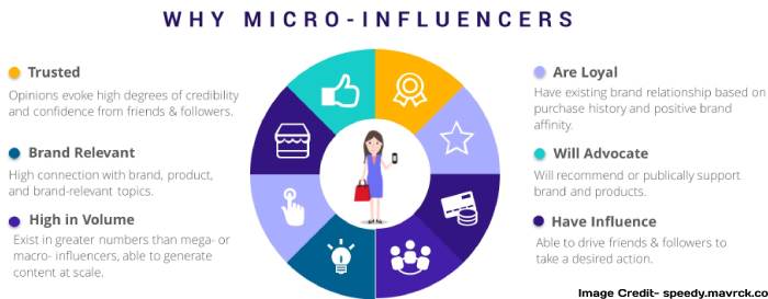 Micro Influencer